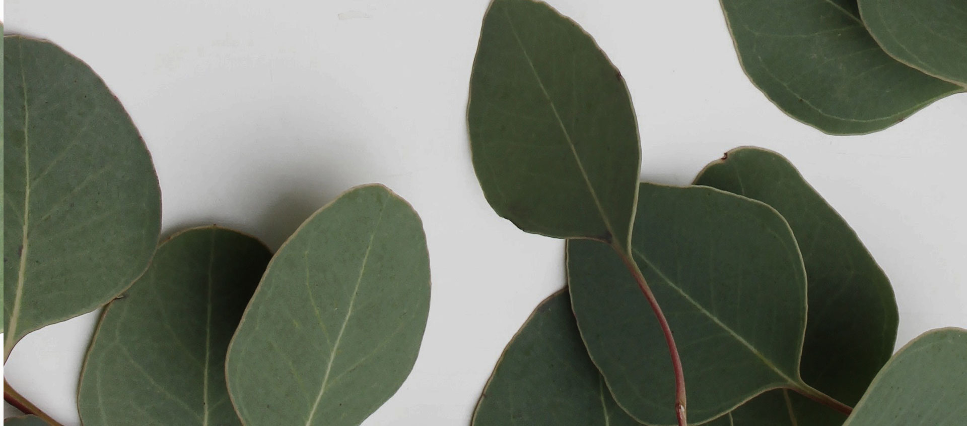 Взыскание ущерба от экологических правонарушений в Карачеве